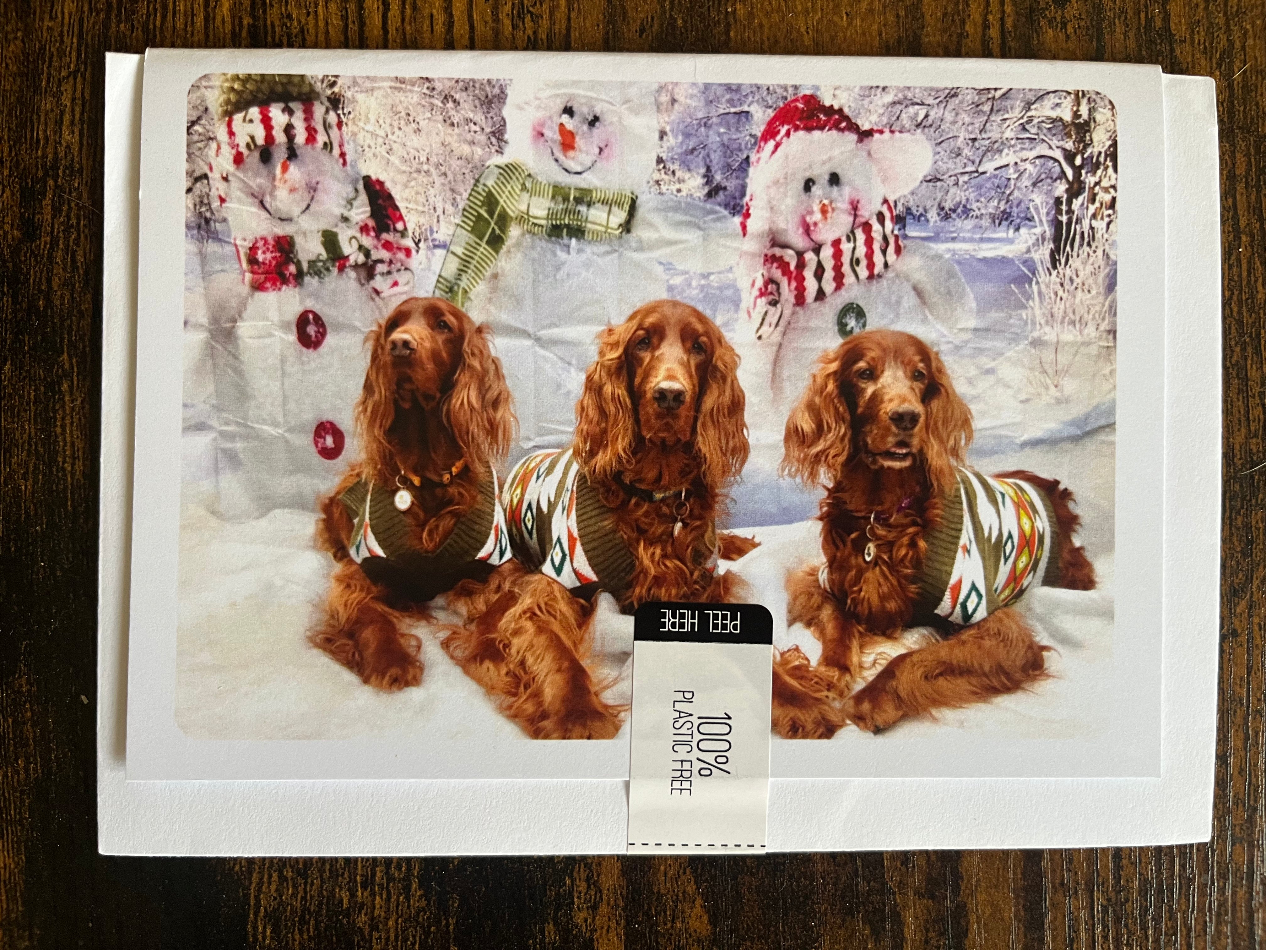 Irish Setter Christmas Card