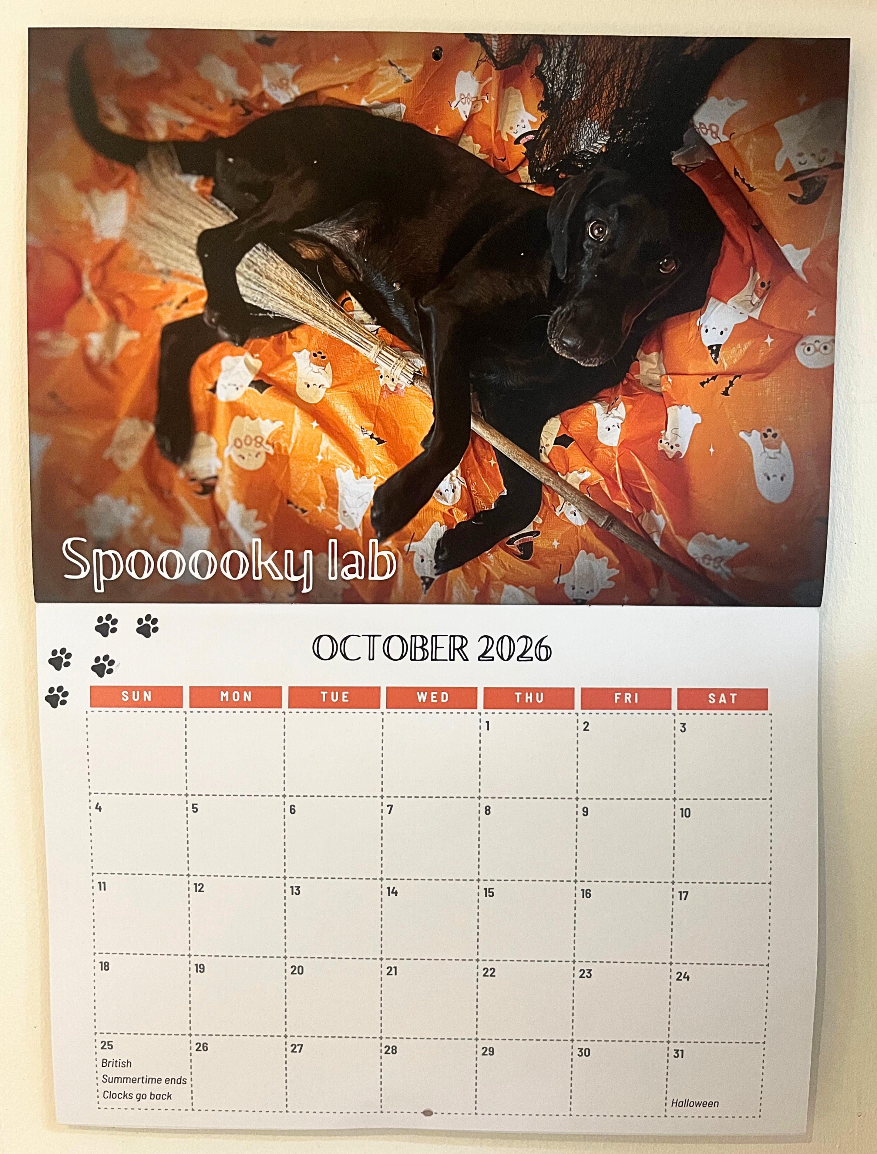 2026 "Calendar Dogs" for Sue Ryder