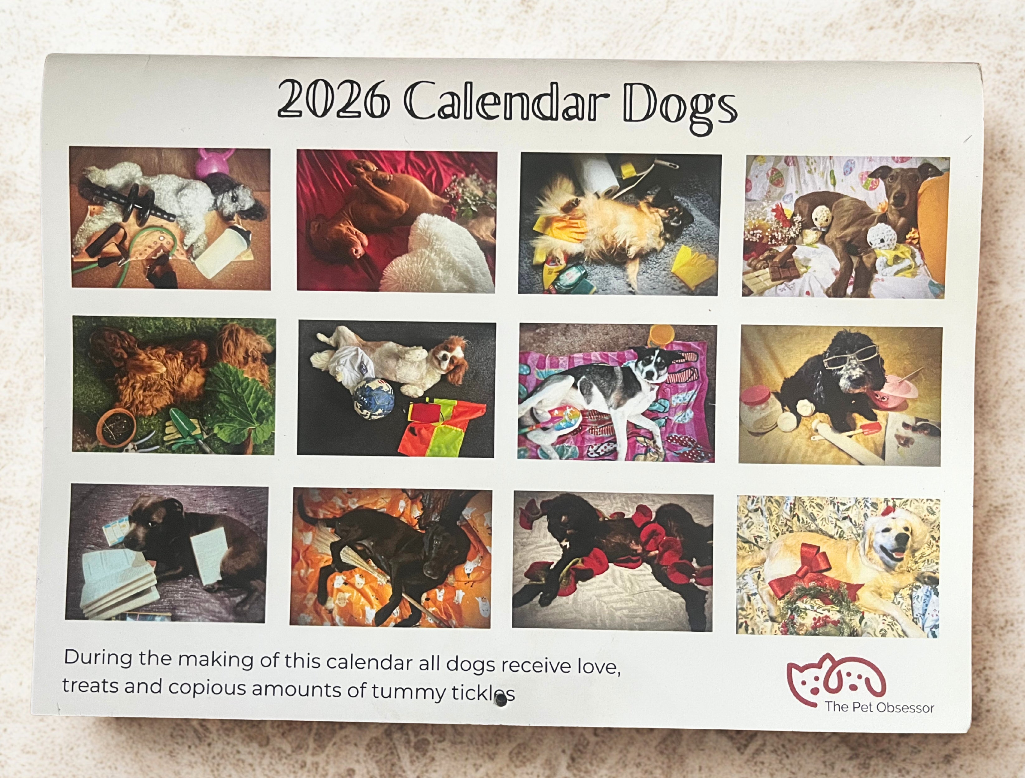 2026 "Calendar Dogs" for Sue Ryder