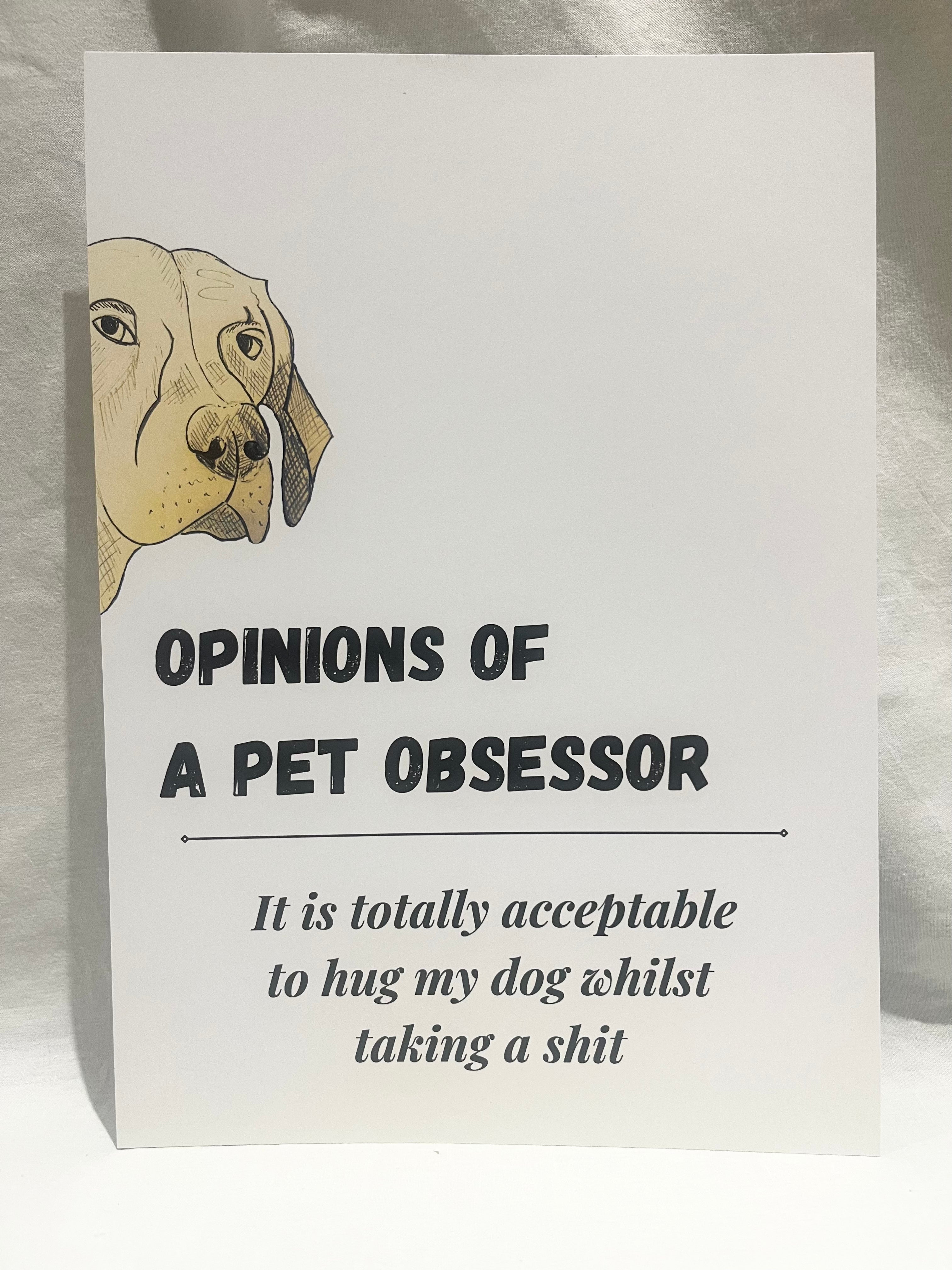 "Opinions of a Pet Obsessor: totally acceptable" A4 Print