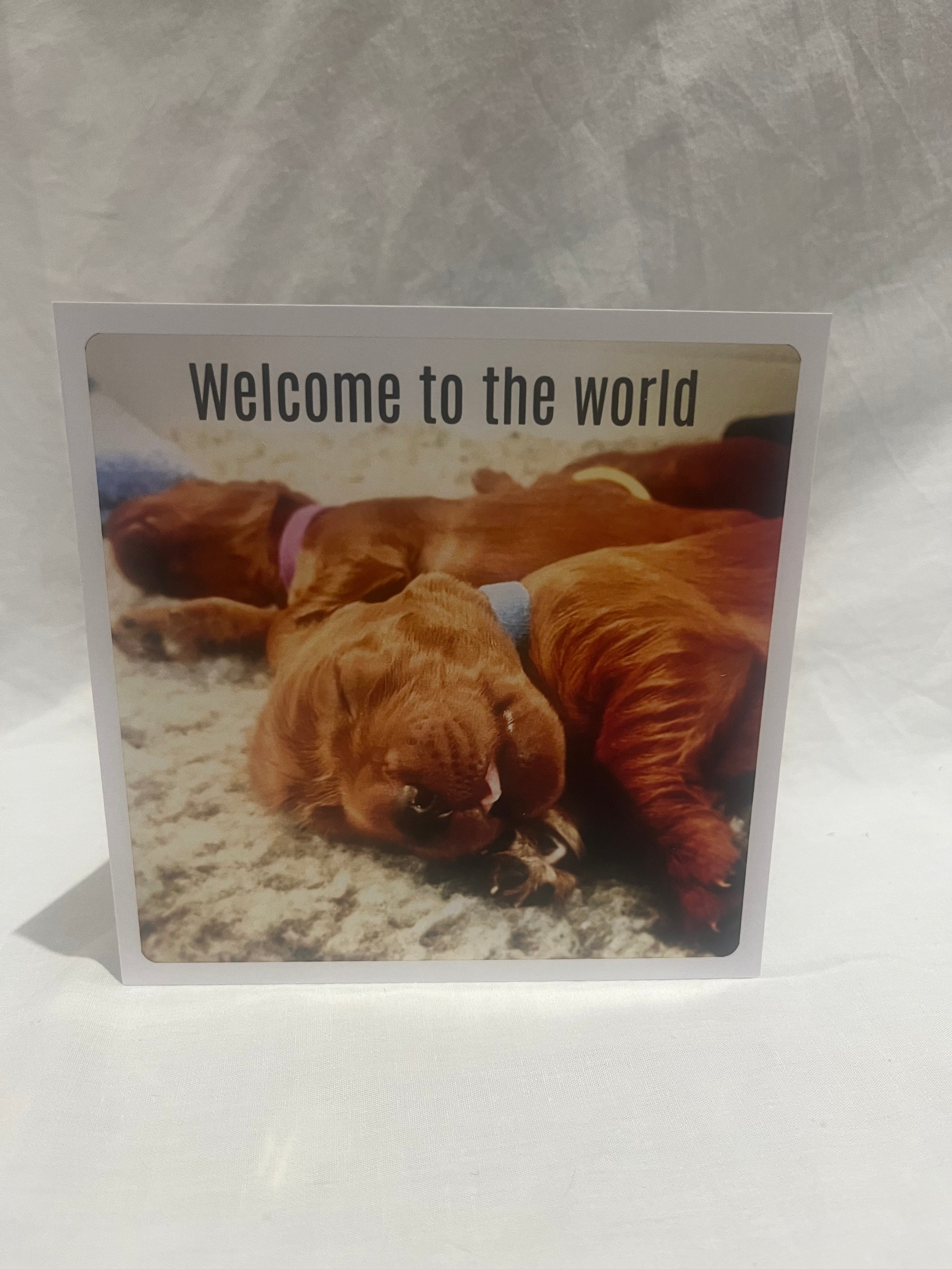 "Welcome to the world" Greetings card