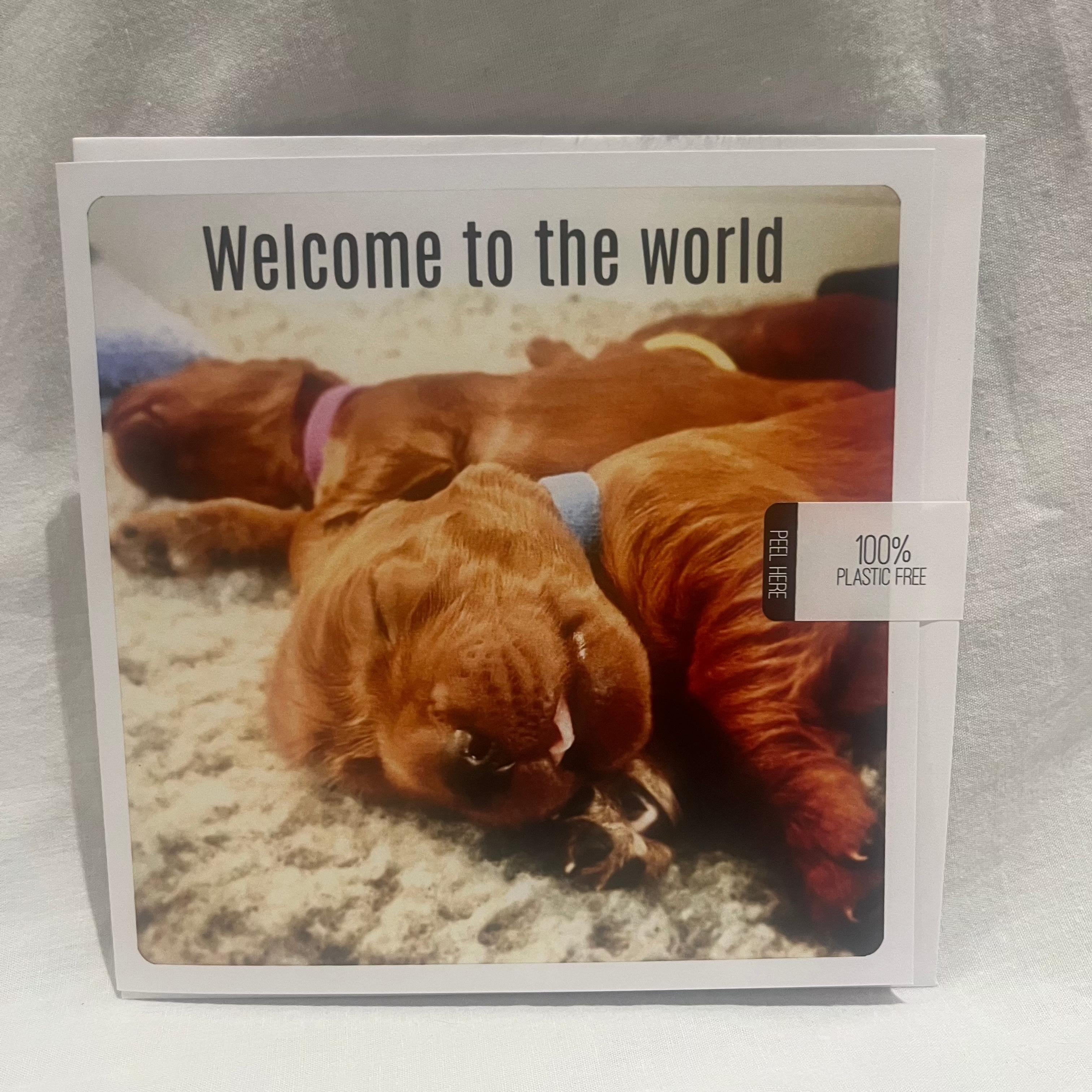 "Welcome to the world" Greetings card