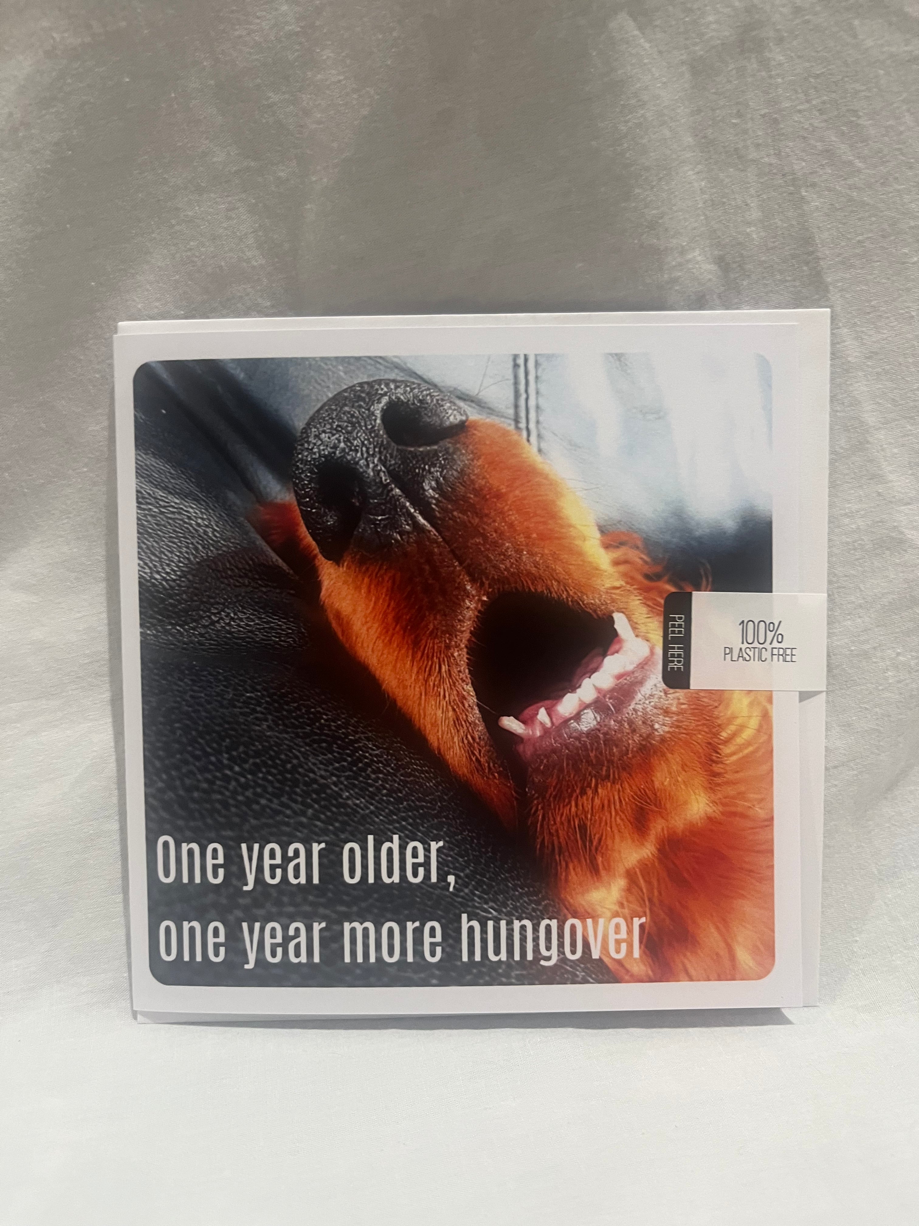 "One year more hungover" greetings card