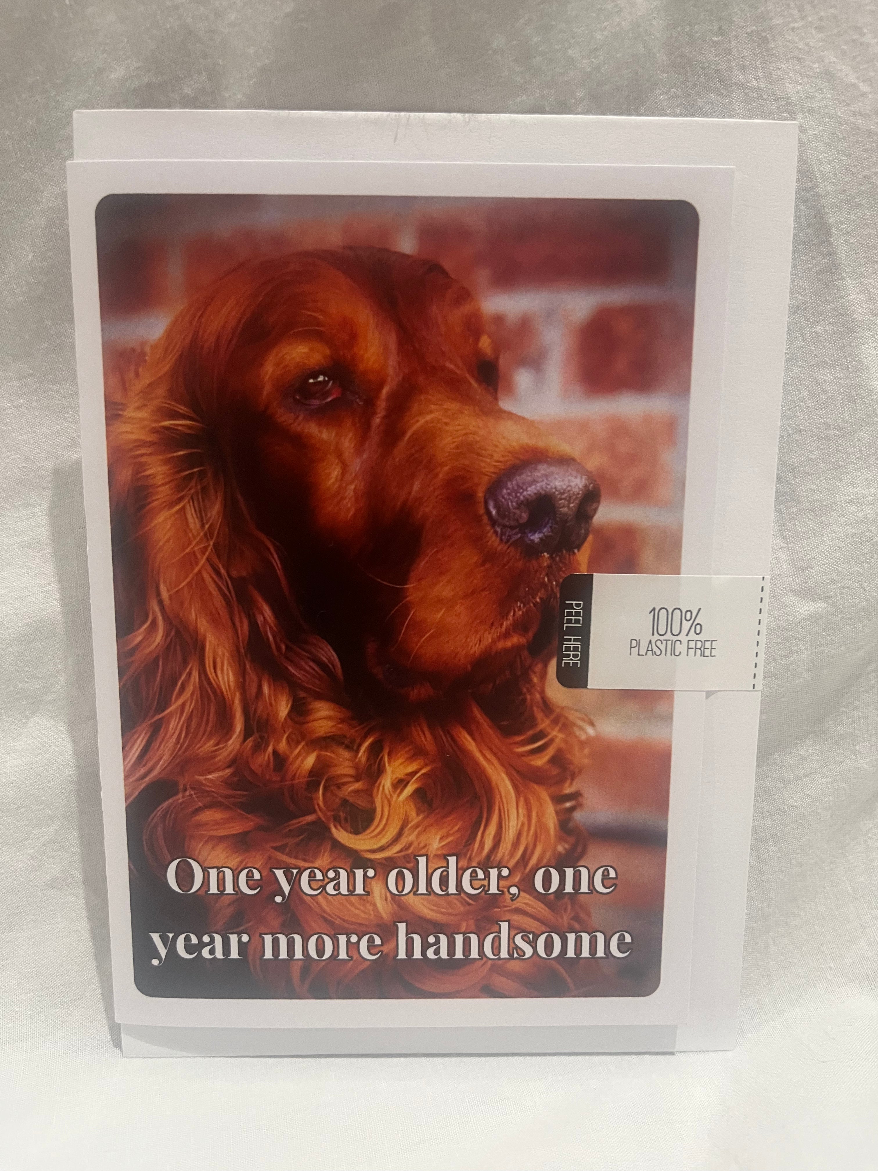 "One year more handsome" greetings card