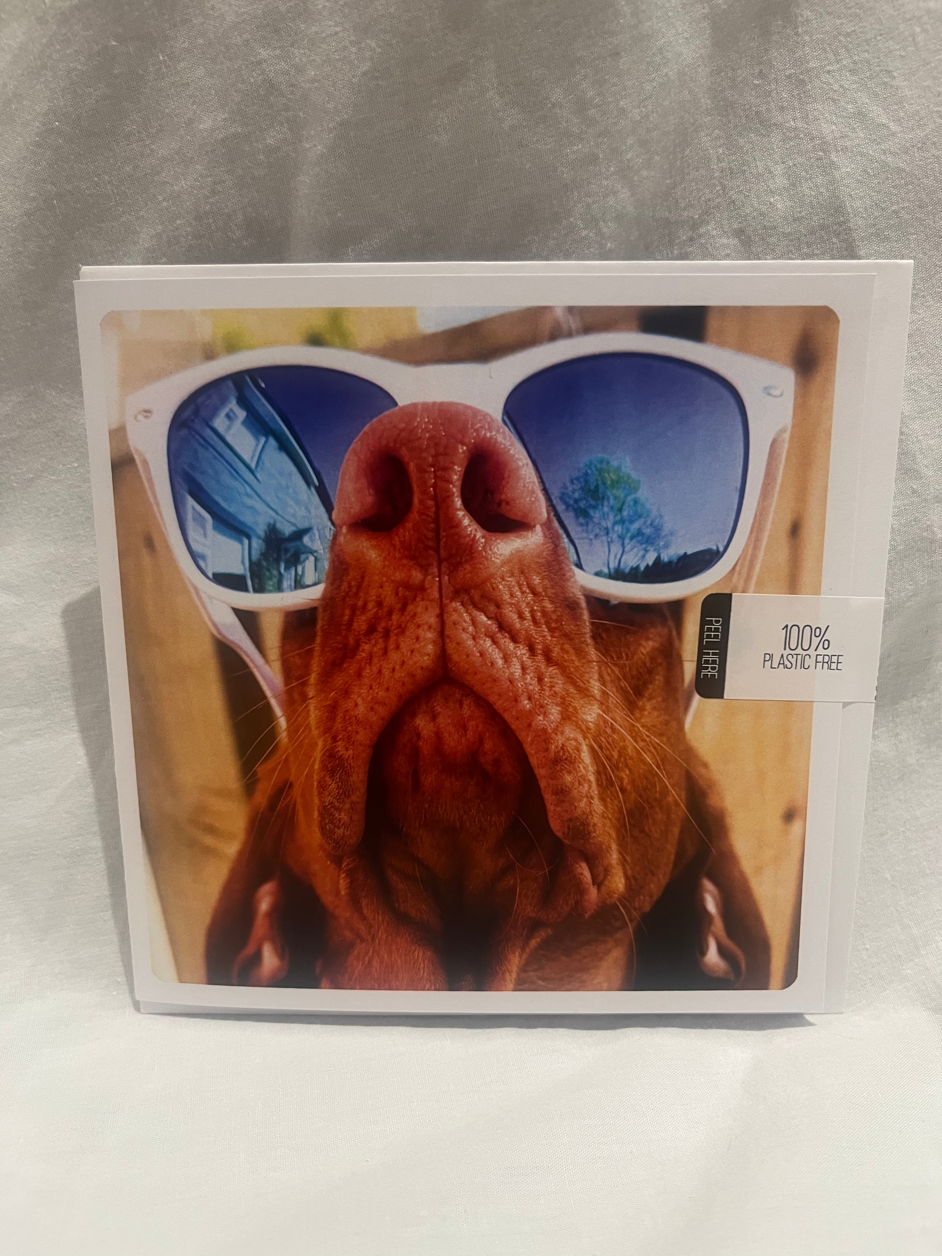 Dog in Sunnies Greetings Card