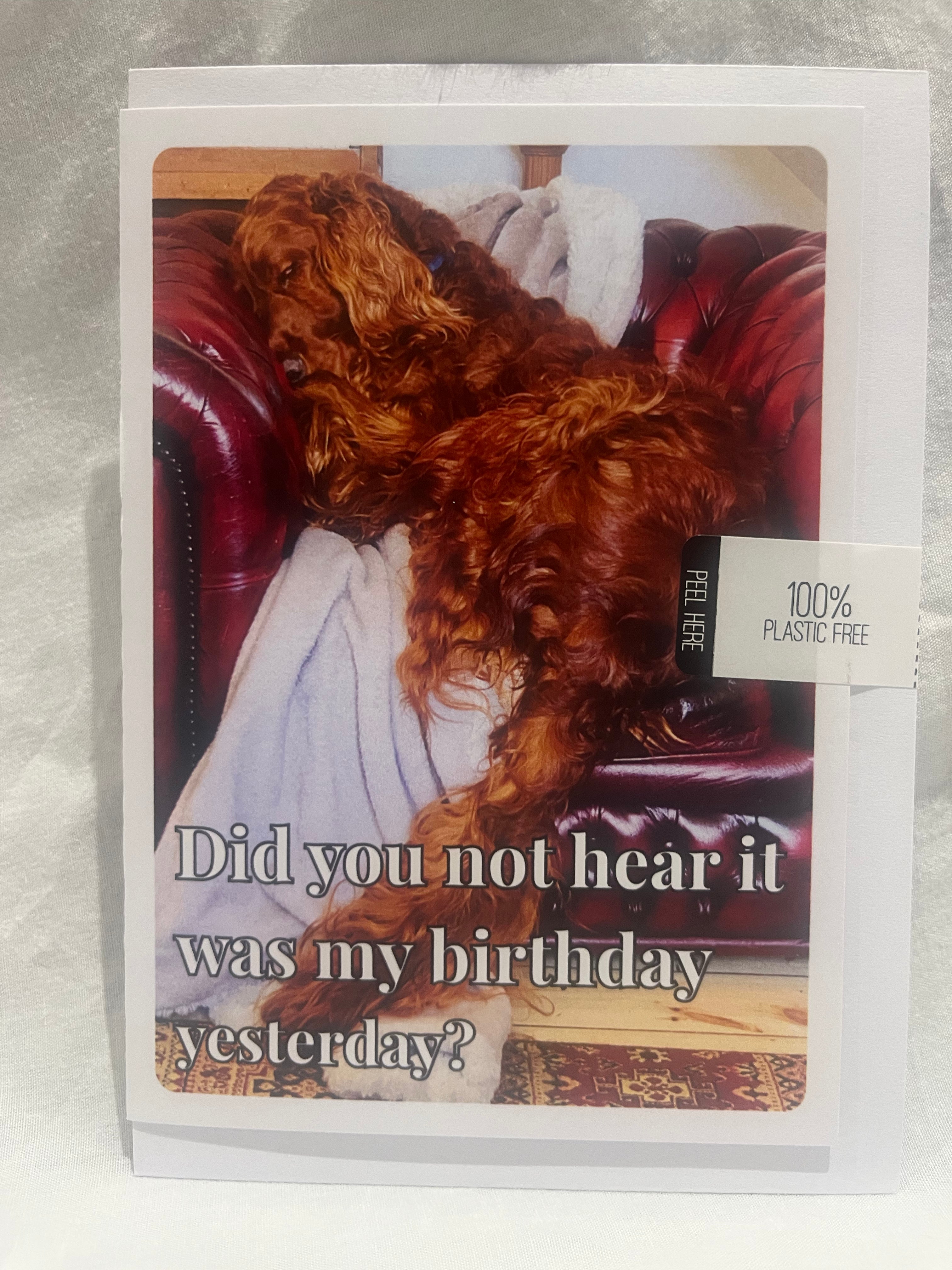 "Did you not hear it was my birthday yesterday" card