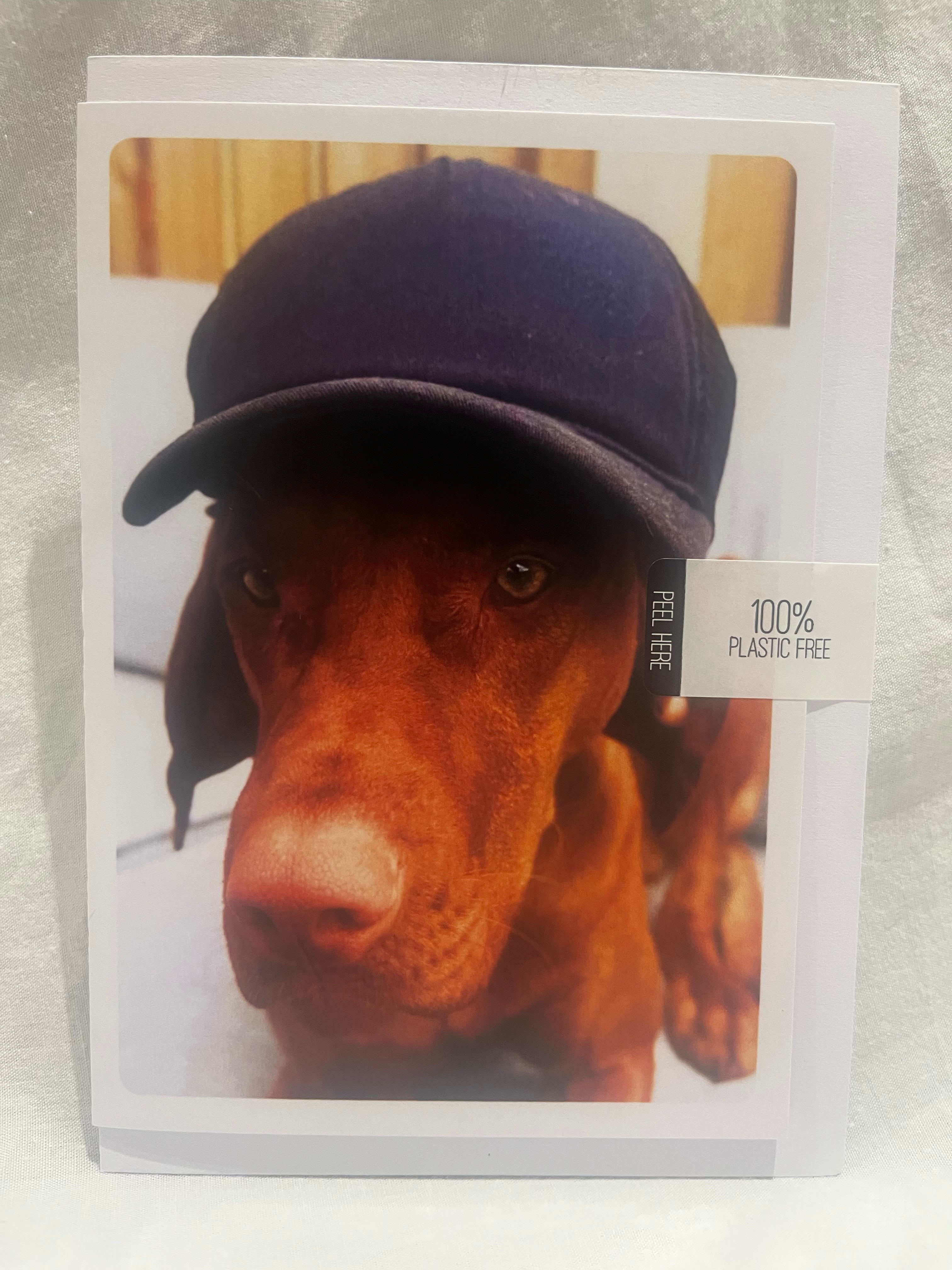 "Cool Viszla vibes" greetings card