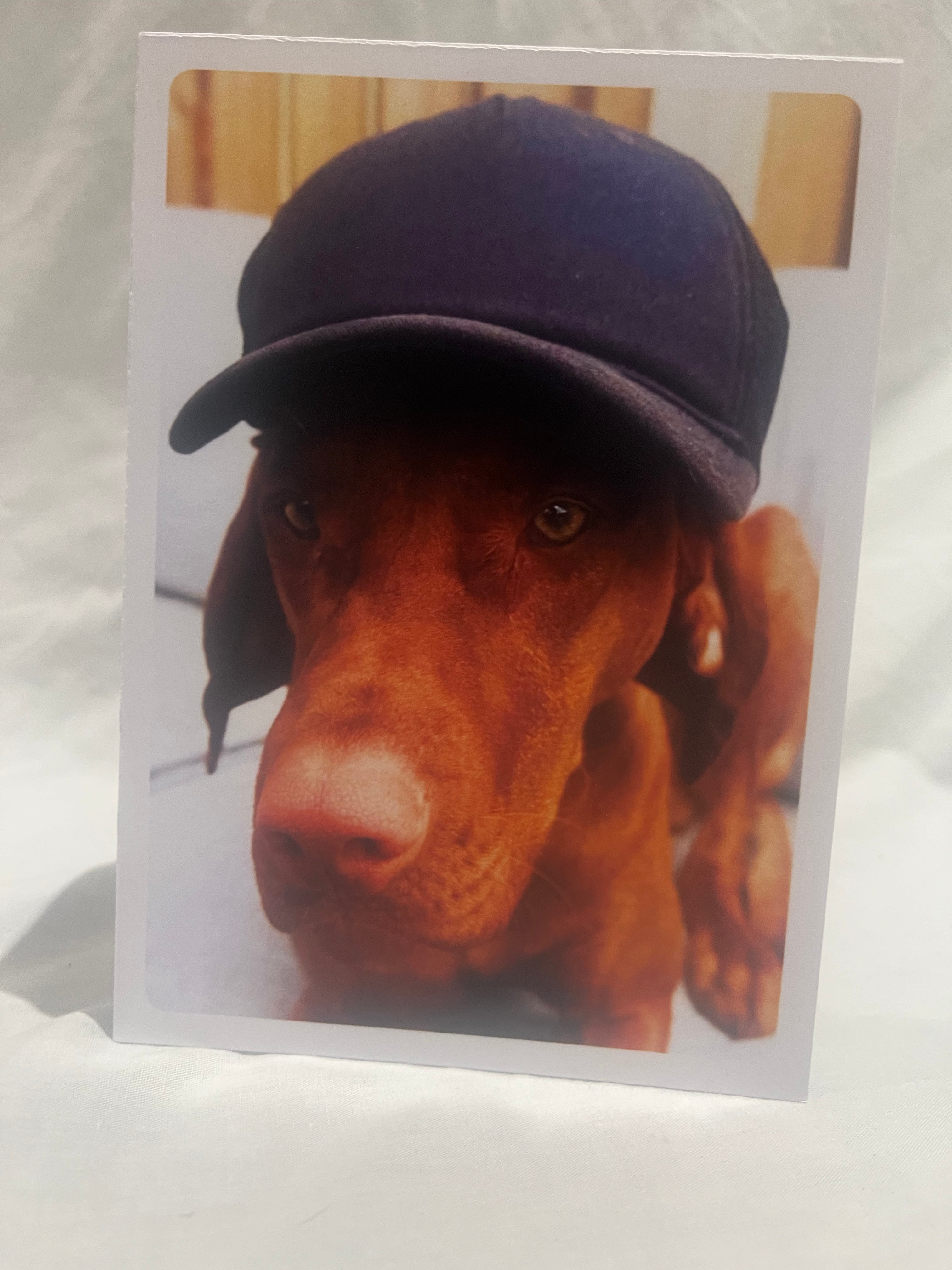 "Cool Viszla vibes" greetings card