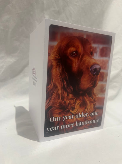"One year more handsome" greetings card