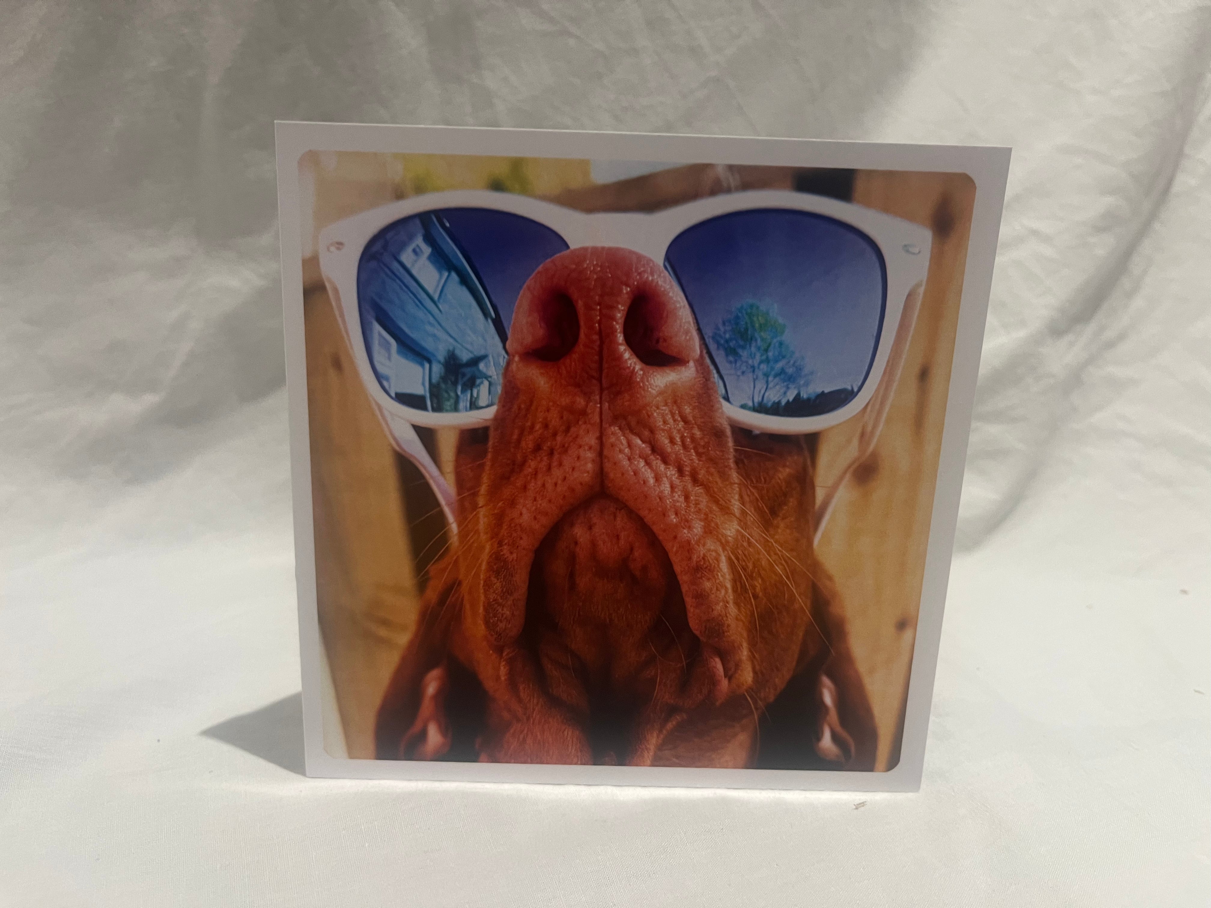 Dog in Sunnies Greetings Card
