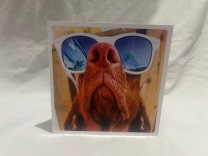 Dog in Sunnies Greetings Card