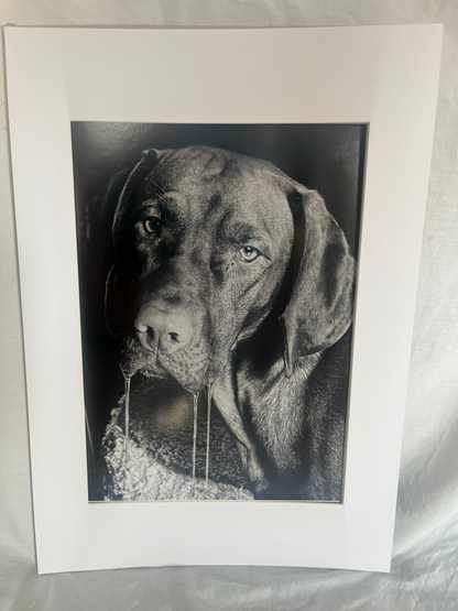 'A slobbery stare'