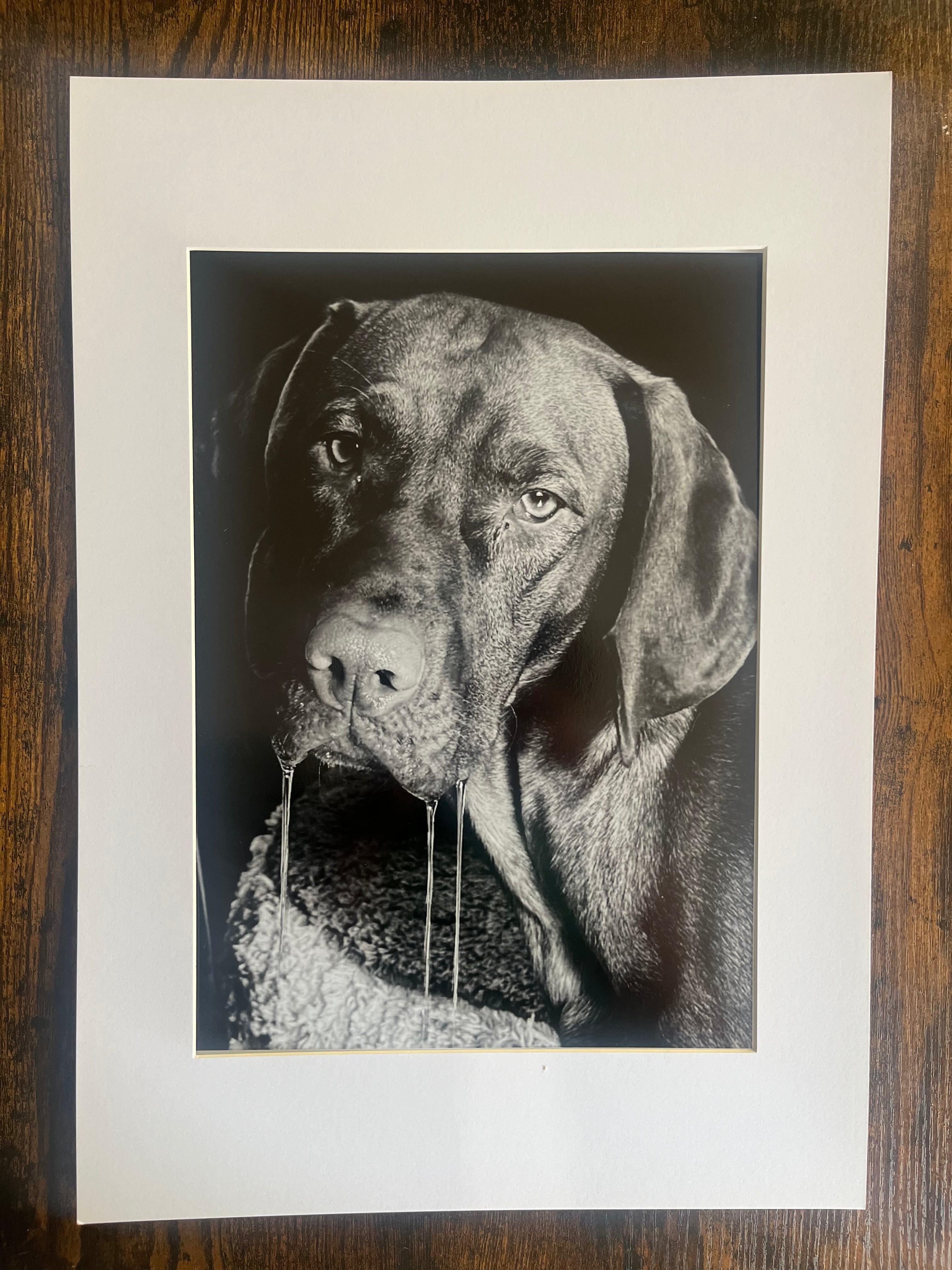 'A slobbery stare'
