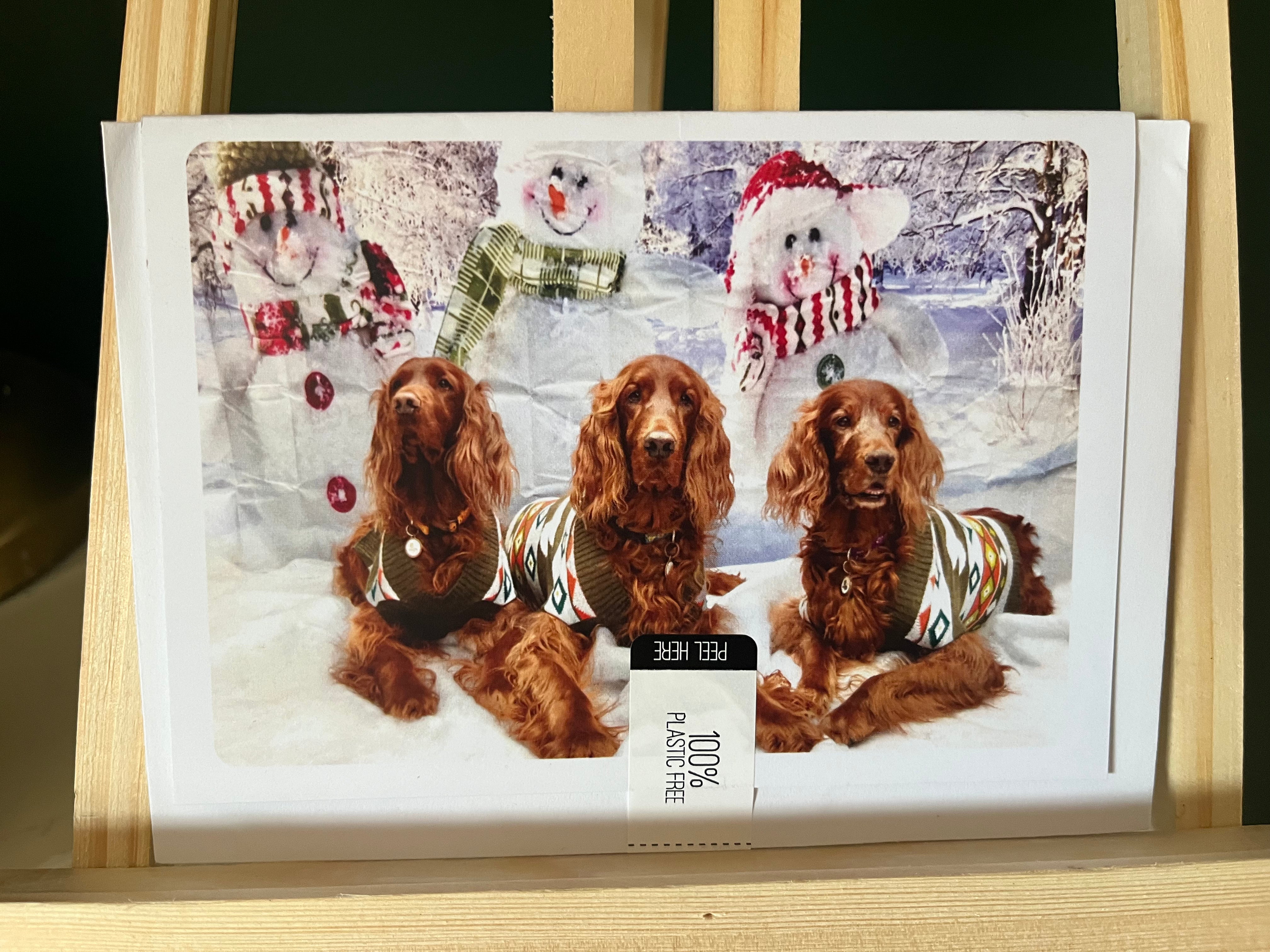 Irish Setter Christmas Card