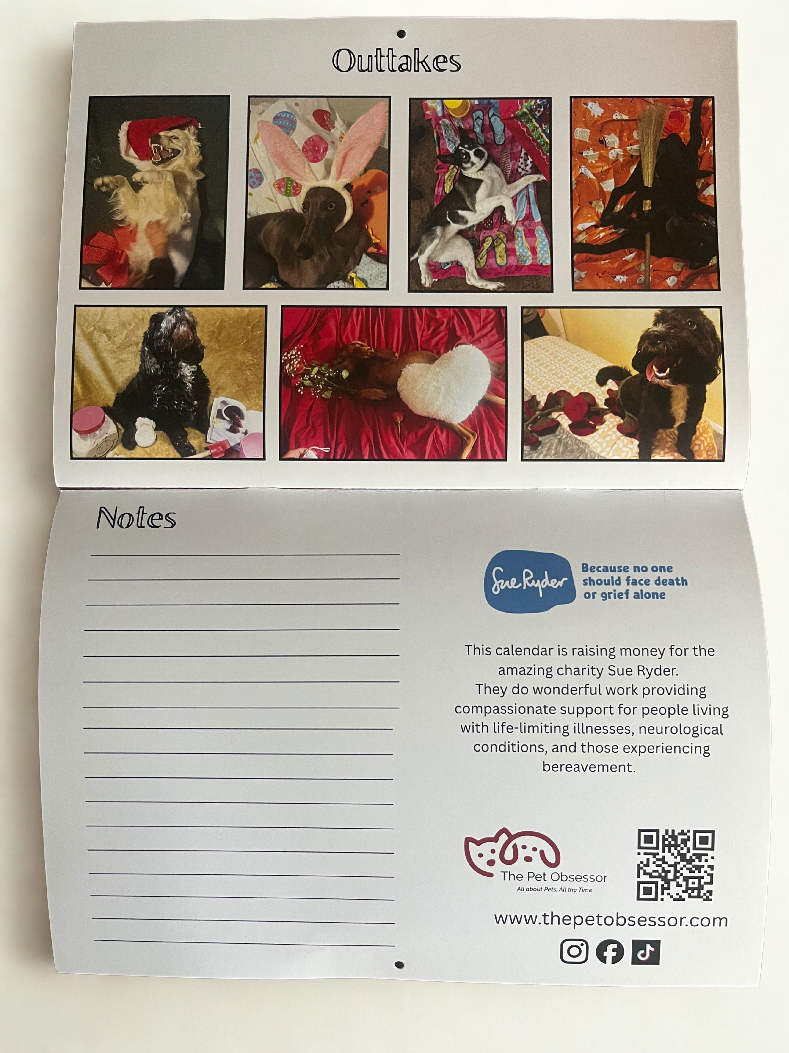2026 "Calendar Dogs" for Sue Ryder