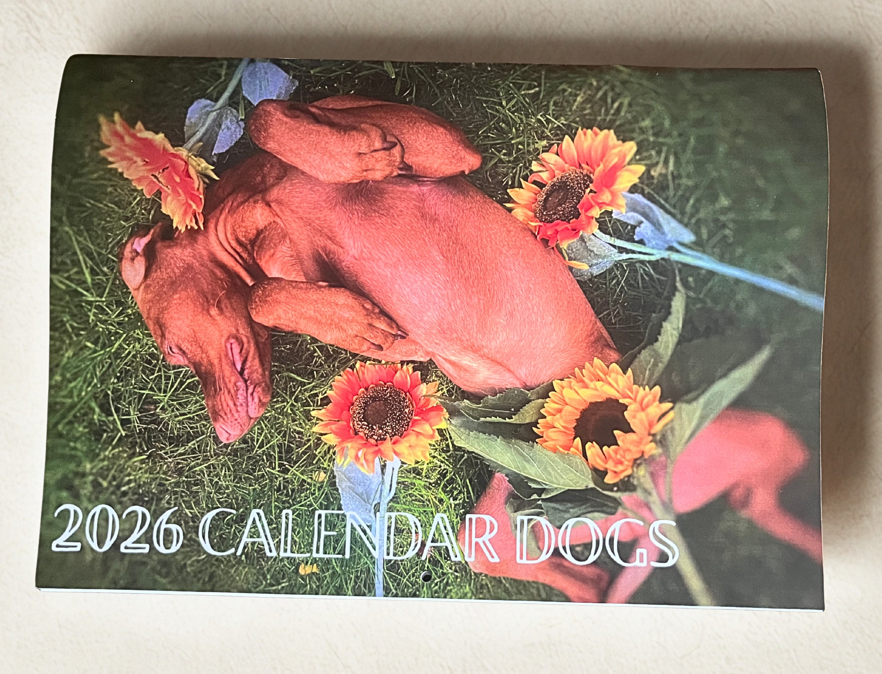 2026 "Calendar Dogs" for Sue Ryder